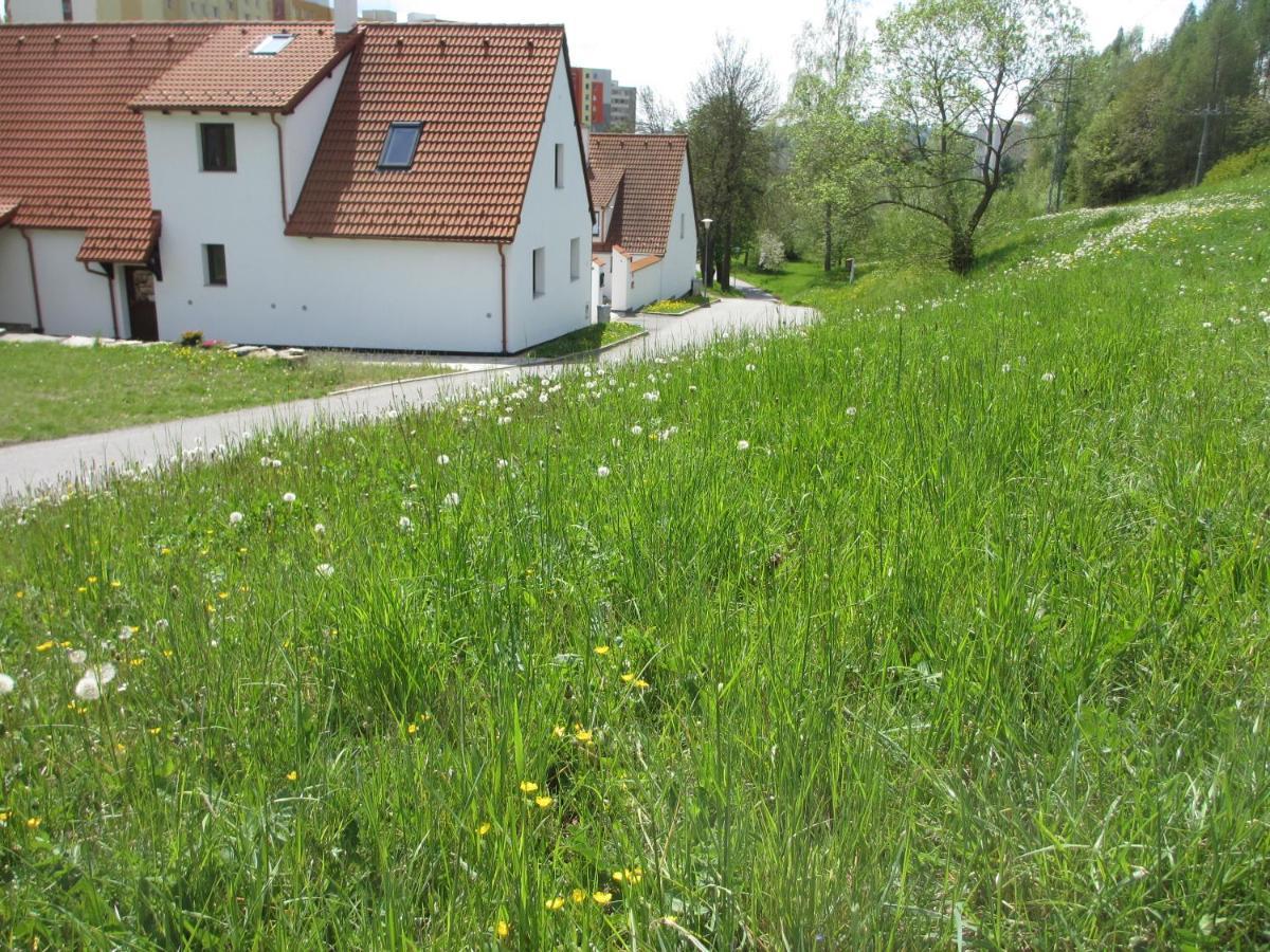 Apartmany U Prochazku Český Krumlov Buitenkant foto